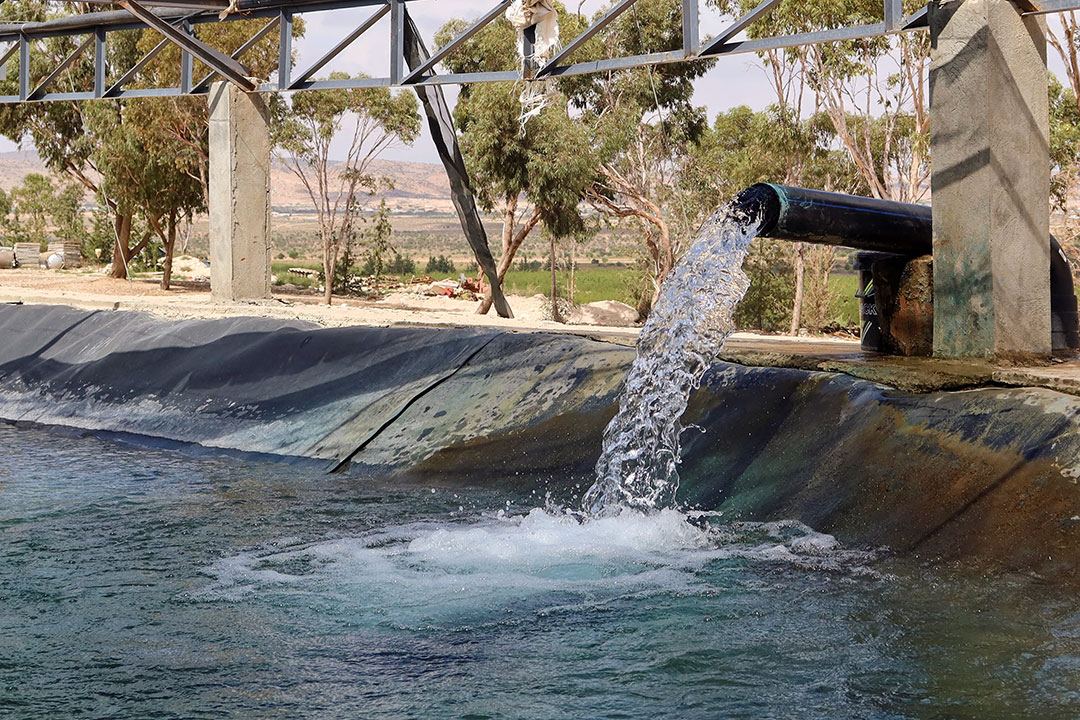 irrigation