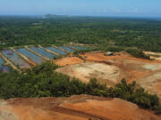 Lawmakers drop ore export ban