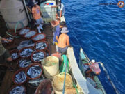 Living our independence with unity, vigilance, and resolve