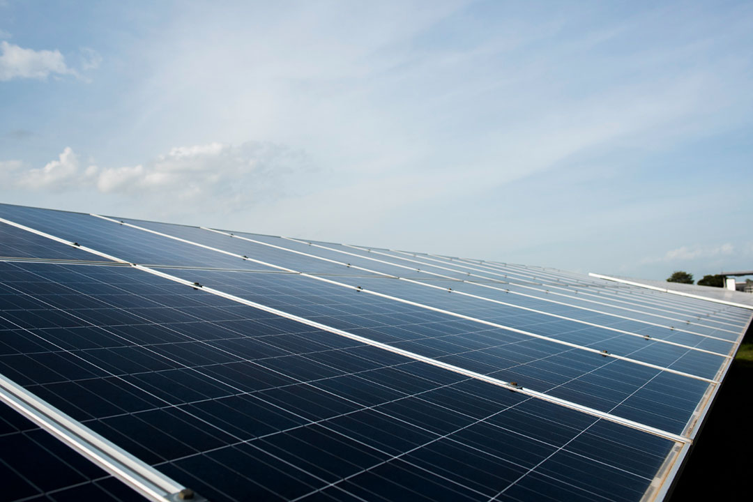 Solar cell farm