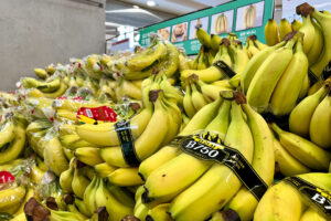 Philippine exports to S. Korea expected to recover in 2nd half
