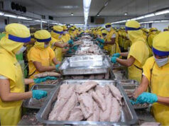 CNPF profit rises 11% to P7.1B on cost controls