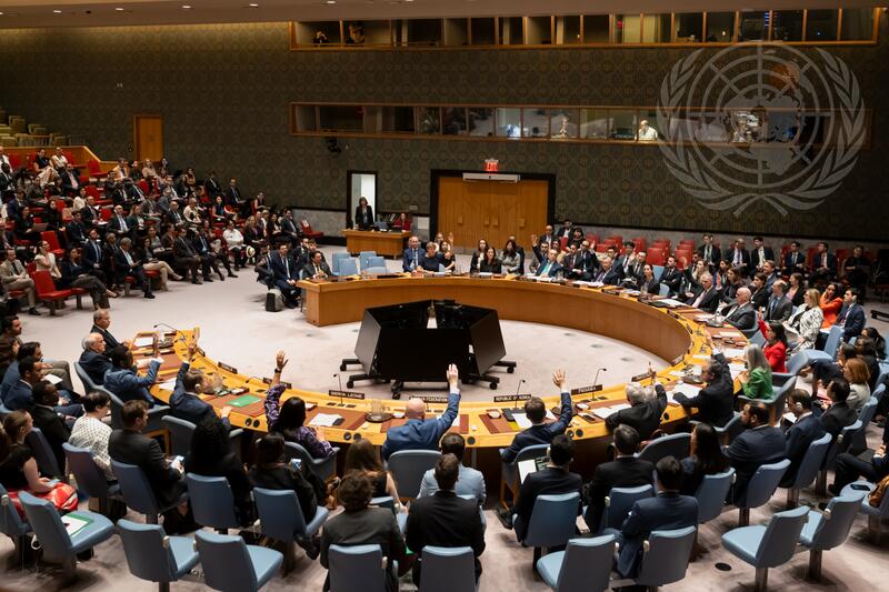 Security Council Meets on Situation in Middle East, Including Palestinian Question