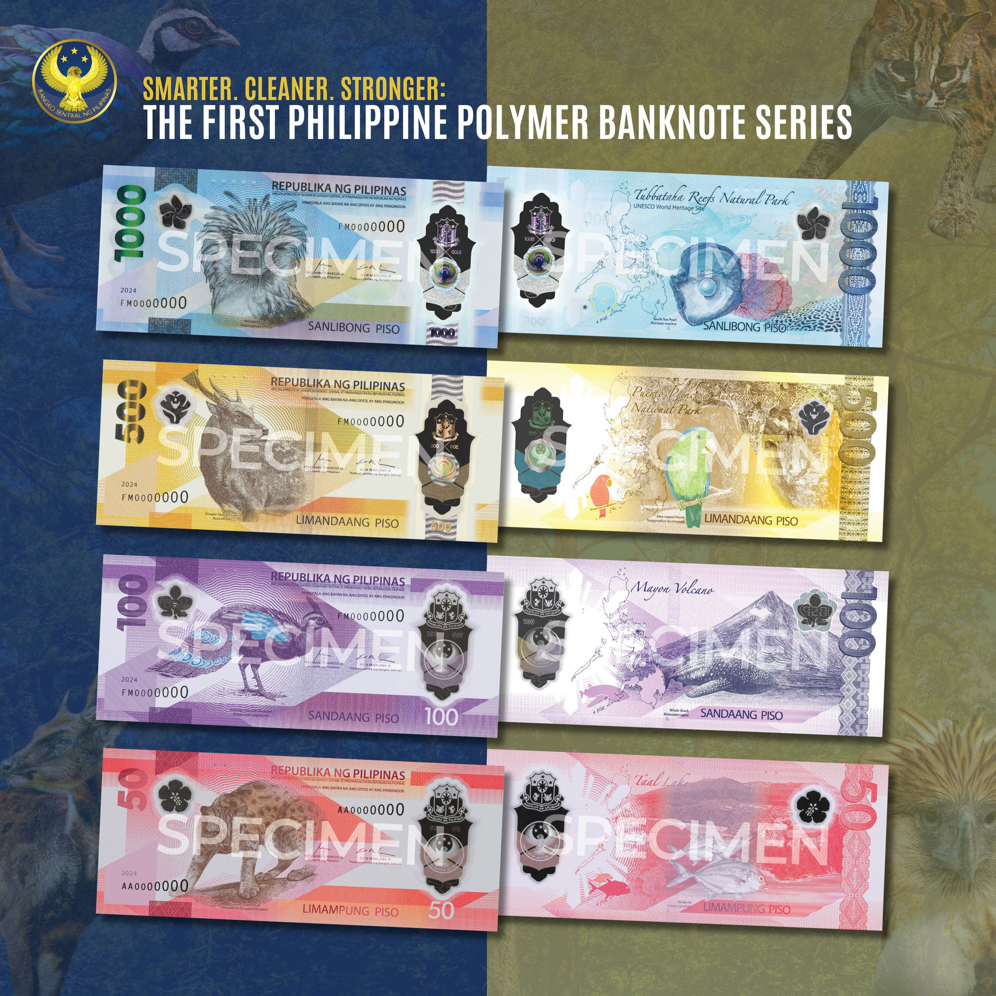 new-polymer-bills