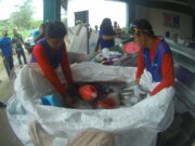 LGUs should exert ‘passion’ in running MRFs, says Biñan mayor