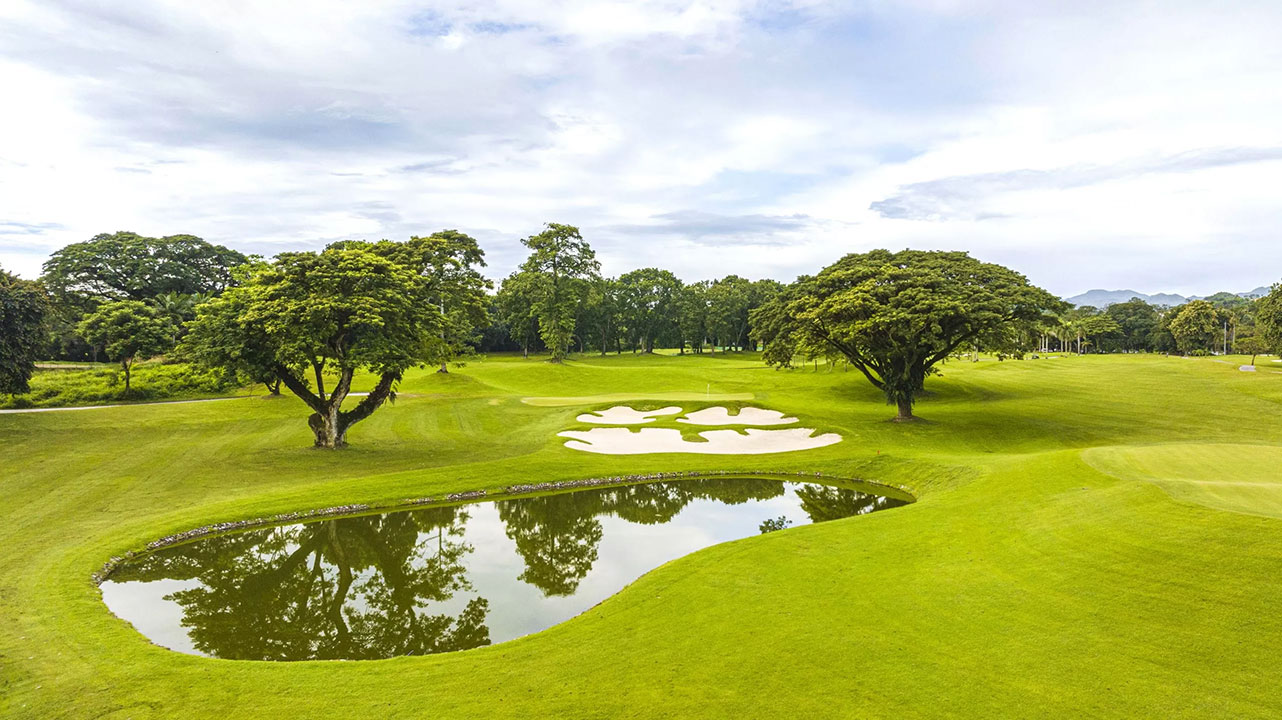 Mimosa-Plus-Golf-Course-Acacia-View-scaled