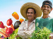 Mayani, Bayan Family launch climate-resilient farming program