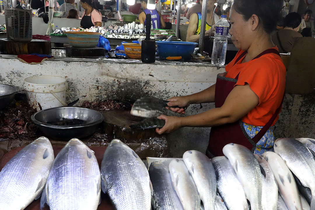 Fish vendor-wc