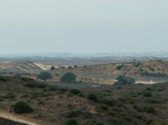 Turkey seeks safe passage for 200 civilians trapped in Gaza tunnels, official says