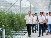 Green lane system rolled out for strategic agri investments