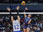 Adamson, Ateneo face off vs local bets in Cebu leg of SSL