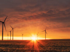 ACEN sees ‘silver lining’ in excess RE supply