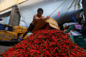 GDP growth may miss top-end goal