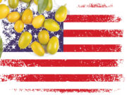 Breaking the world’s addiction to US statistics is hard