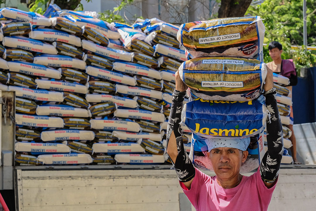 rice sack-worker