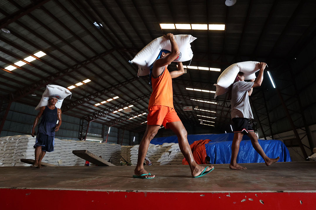 rice warehouse-worker