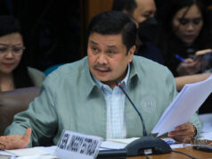 RTC denies Estrada’s TRO request