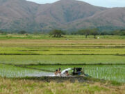 Nueva Vizcaya ARBs get P20-M irrigation project