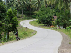 Expanded agri budget expected to support food security, productivity efforts as DA takes on farm road program