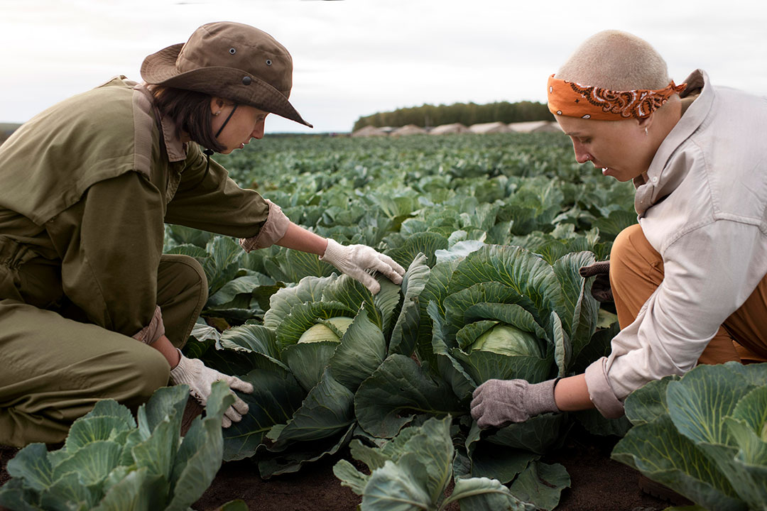 lifestyle-ecofriendly-people