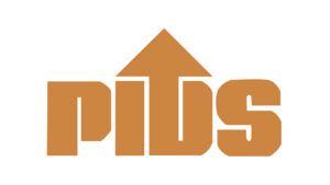 Gov’t funds left idle top P813B in 2024 — PIDS