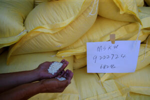 DA eyes extending rice import ban