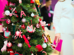 Anne Curtis celebrates Christmas with Anko