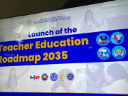 Teacher education roadmap seeks to address specialization mismatch