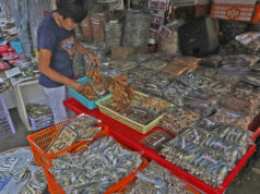 Poll: BSP to keep policy rate on hold