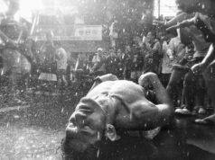 Arts & Culture (11/19/25)