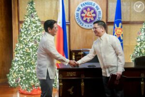 Finance Usec. Mendoza takes over BIR