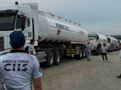 Customs not giving up on 2025 goal as imports fall