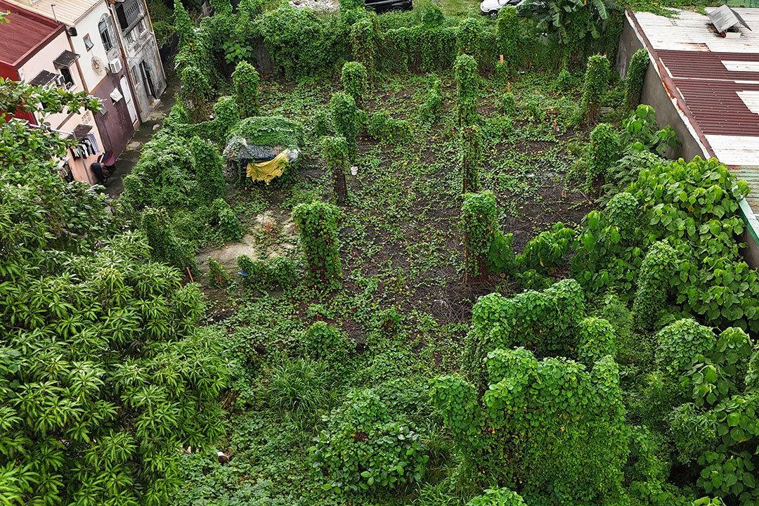 ‘Ghost’ hospitals reveal deeper corruption, governance woes in health sector, analysts say