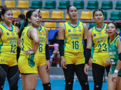 Dasma Monarchs, Biñan close in on MPVA finals