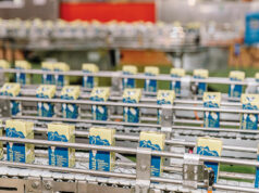 Dairy tycoon bets on Southeast Asia for next leg of growth