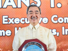 Private sector has role in ensuring stability amid political, economic risks — Hans Sy