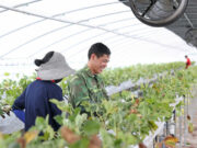 Philippines signs seasonal labor deal for farm workers with South Korea