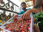 DA probes slow imports of red onions as prices soar past P300 per kilo