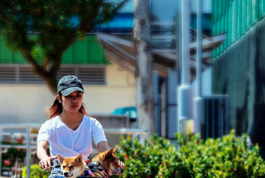 Everyday habits that warm the planet and how to address them