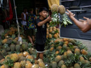 Most agri exports exempted from US tariffs — DTI