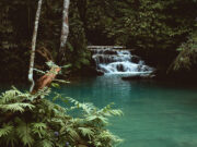 Hydropower developers seek higher tariff for run-of-river