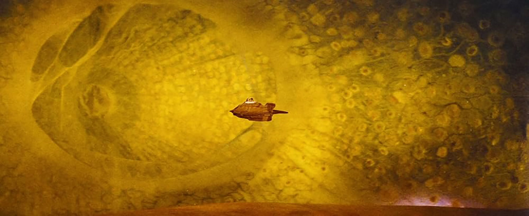 A miniaturized ship travels