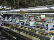 Del Monte Pacific says Q2 profit jumped to $16.8M on strong sales