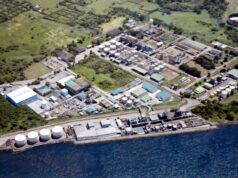 Gov’t could hold on to stake in dormant Cocochem