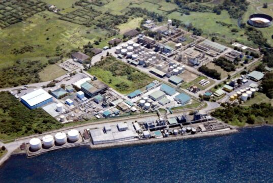Gov’t could hold on to stake in dormant Cocochem