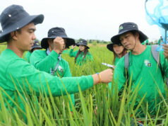 Farm extension services need 20,000 more agriculturists — DA