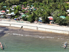 Ports servicing offshore wind farms seen ready by 2027