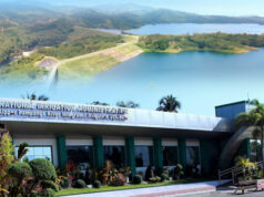 Nueva Ecija rice output under threat from irrigation fault; munggo eyed as stopgap