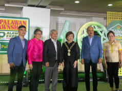 PalawanPay expands services for domestic workers