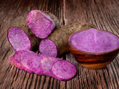 Tracing the colorful journey of Ube through the Astoria Culinary Expert Services (Astoria-ACES) farm-to-table initiative